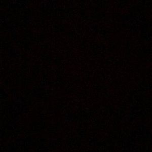 Meet your Posher, Leila